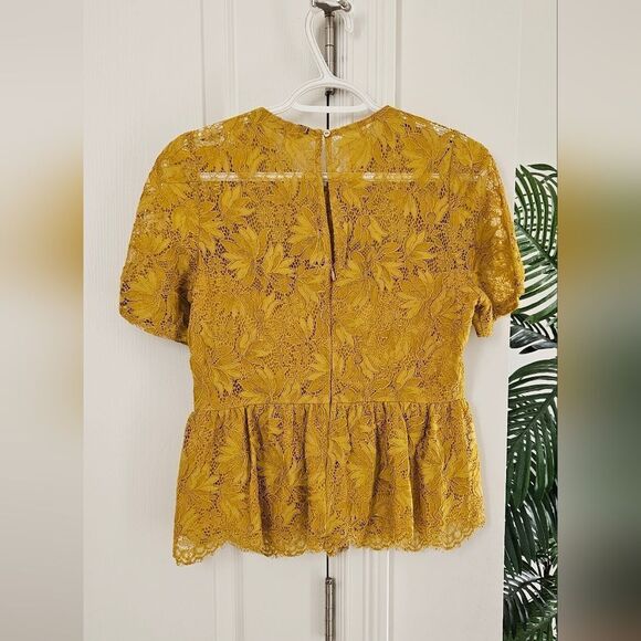 Zara Mustard Lace Peplum Top - Picture 2 of 3